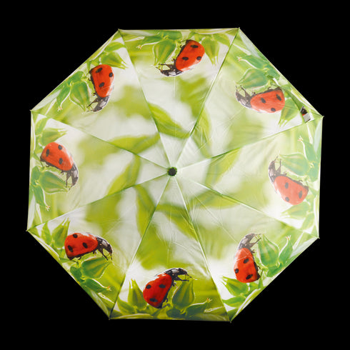 Sateenvarjo, leppäkerttu - kokoontaitettava